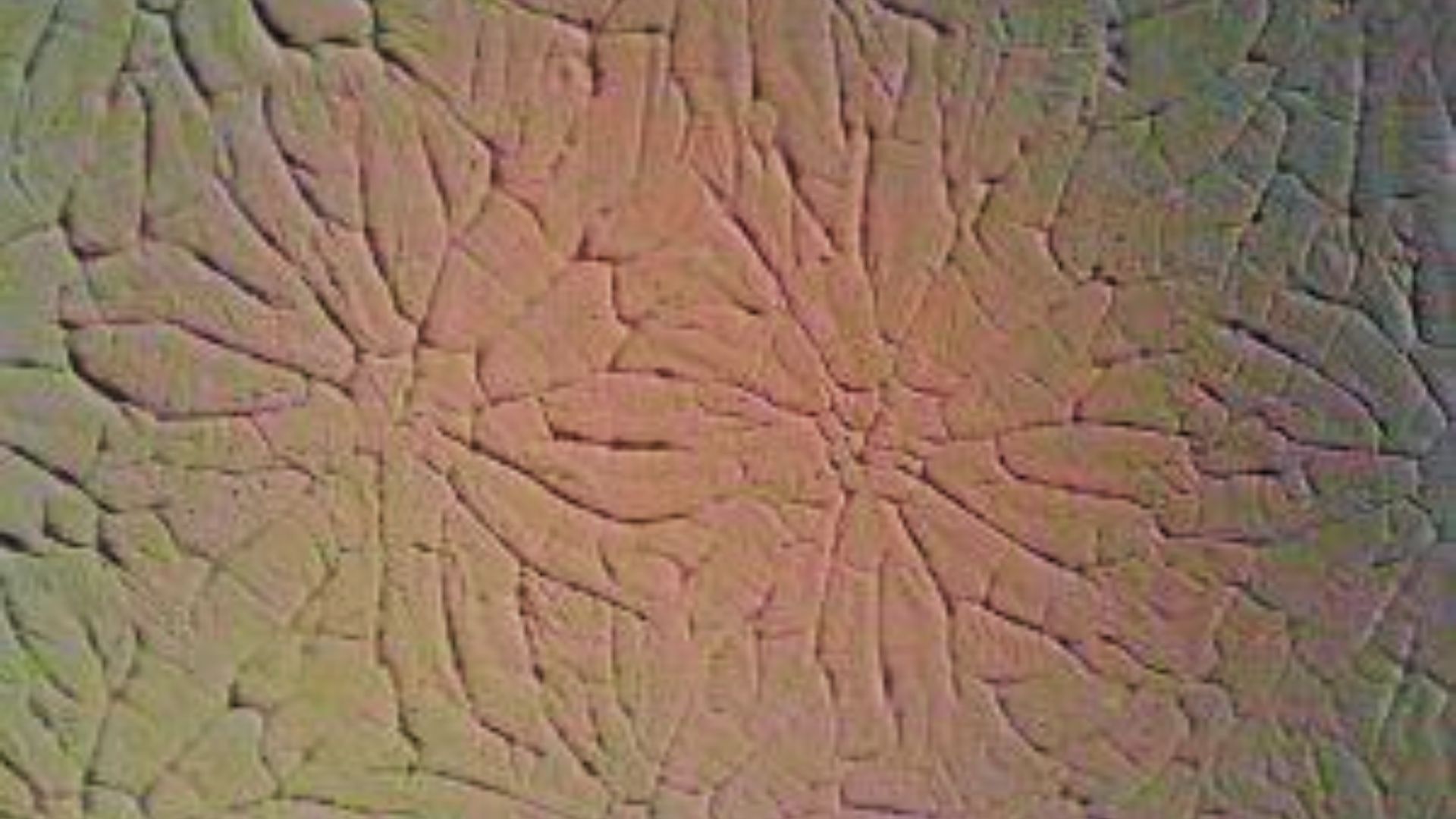 Rosebud drywall texture with overlapping arcs in a soft beige tone.
