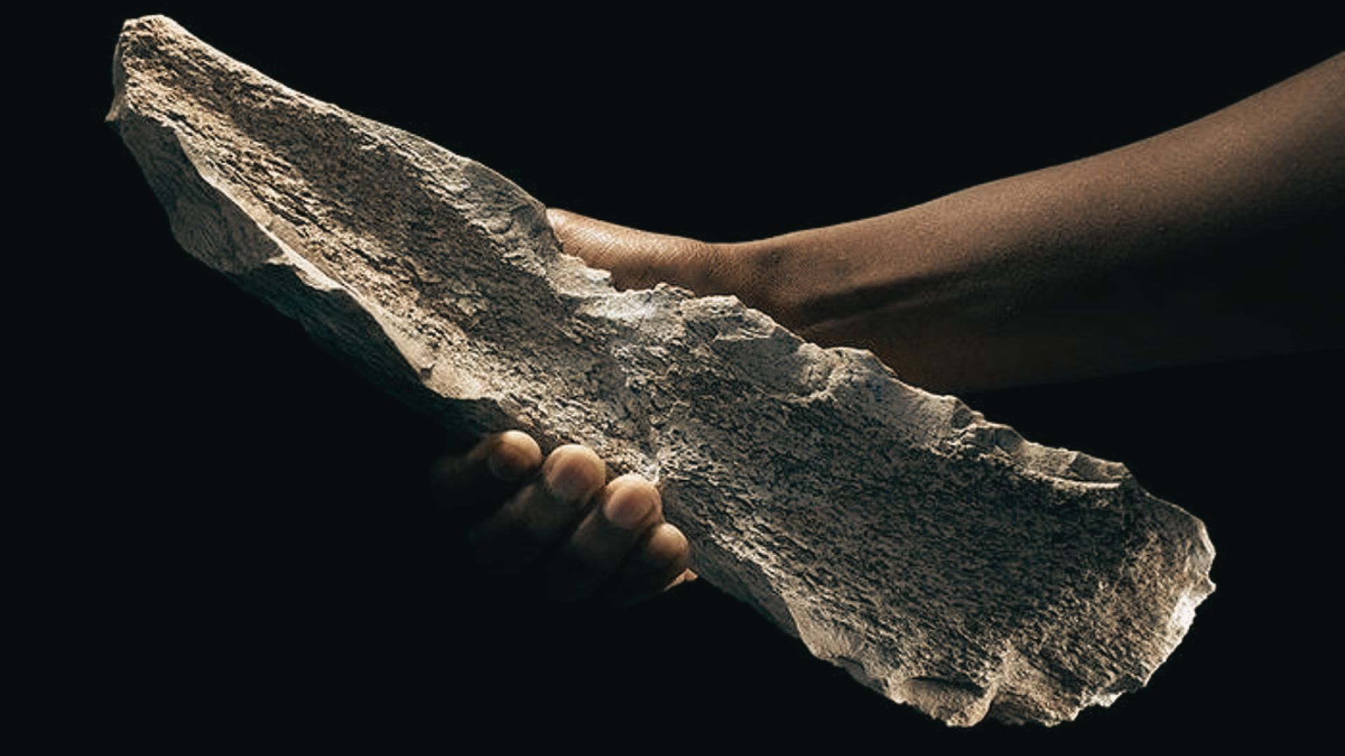 A hand holds a large, textured prehistoric stone tool against a black backdrop.