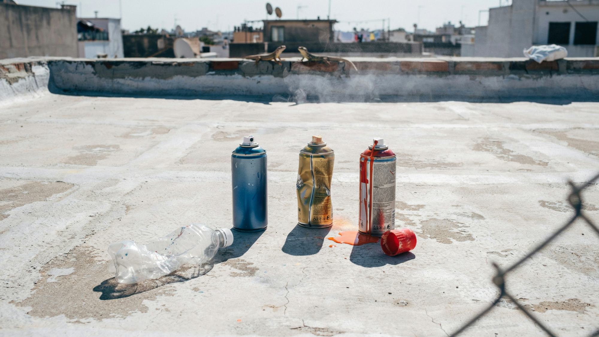 Three spray paint cans and an empty plastic bottle sit on a sunny rooftop surface.